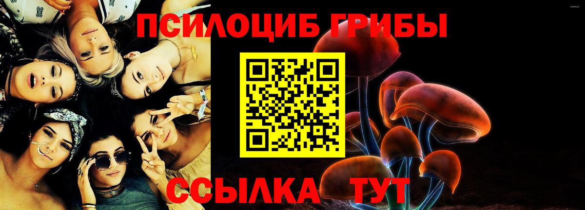 Лангепас  Галлюциногенные грибы Psilocybe  Вход с VPN 